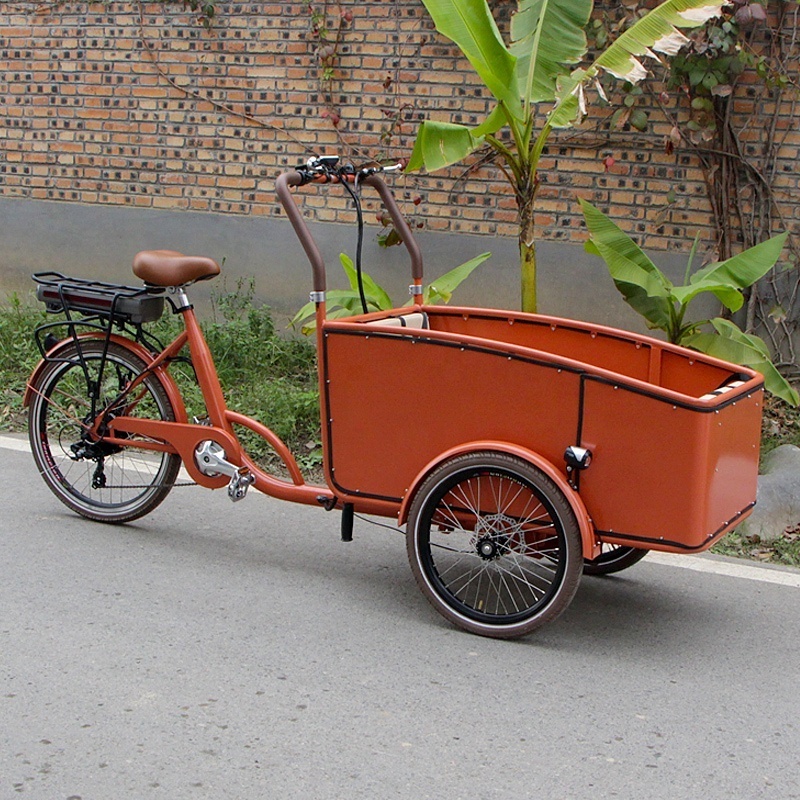 Powerful Factory direct supplier cargo bike electric energy with pedals assist