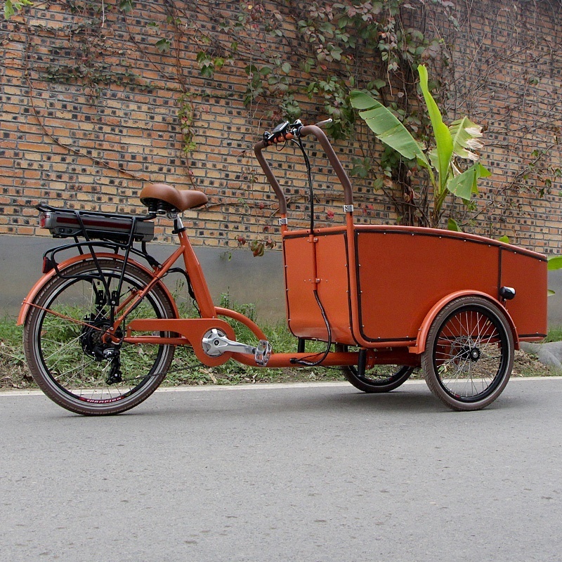 Electric three wheels rickshaw with 2 kids seat Urban Bicycles cargo Tricycle on dutch bike sale