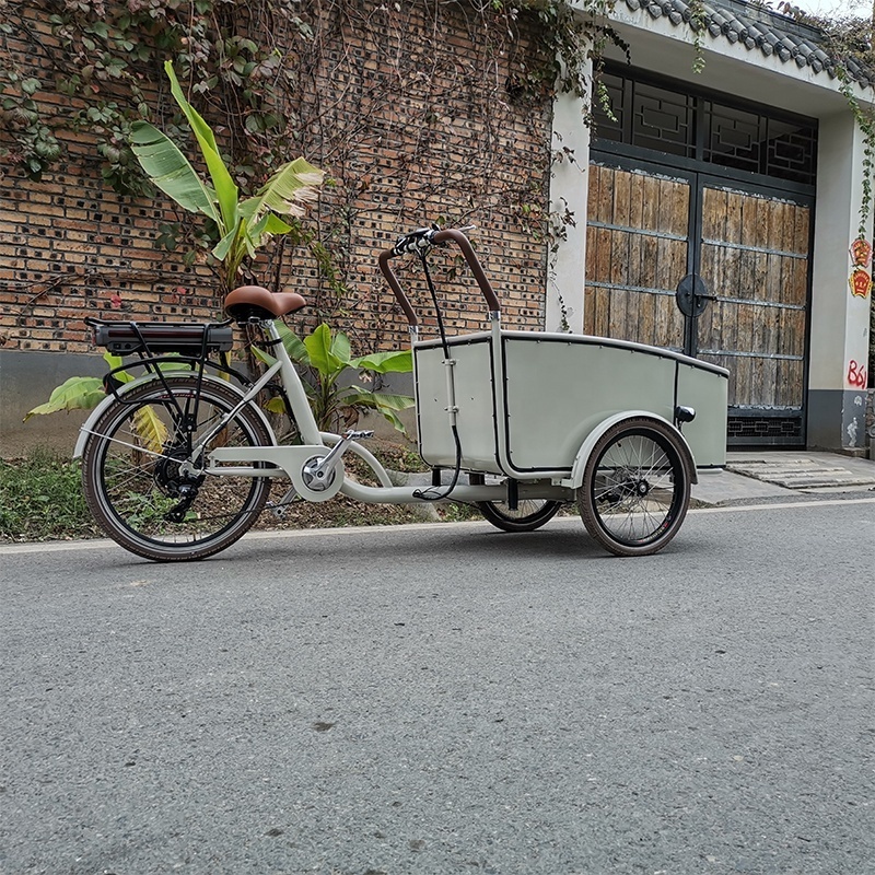 electric passenger tricycle cargo trike new three wheels adult car fashionable leisure with 4 child safe belts