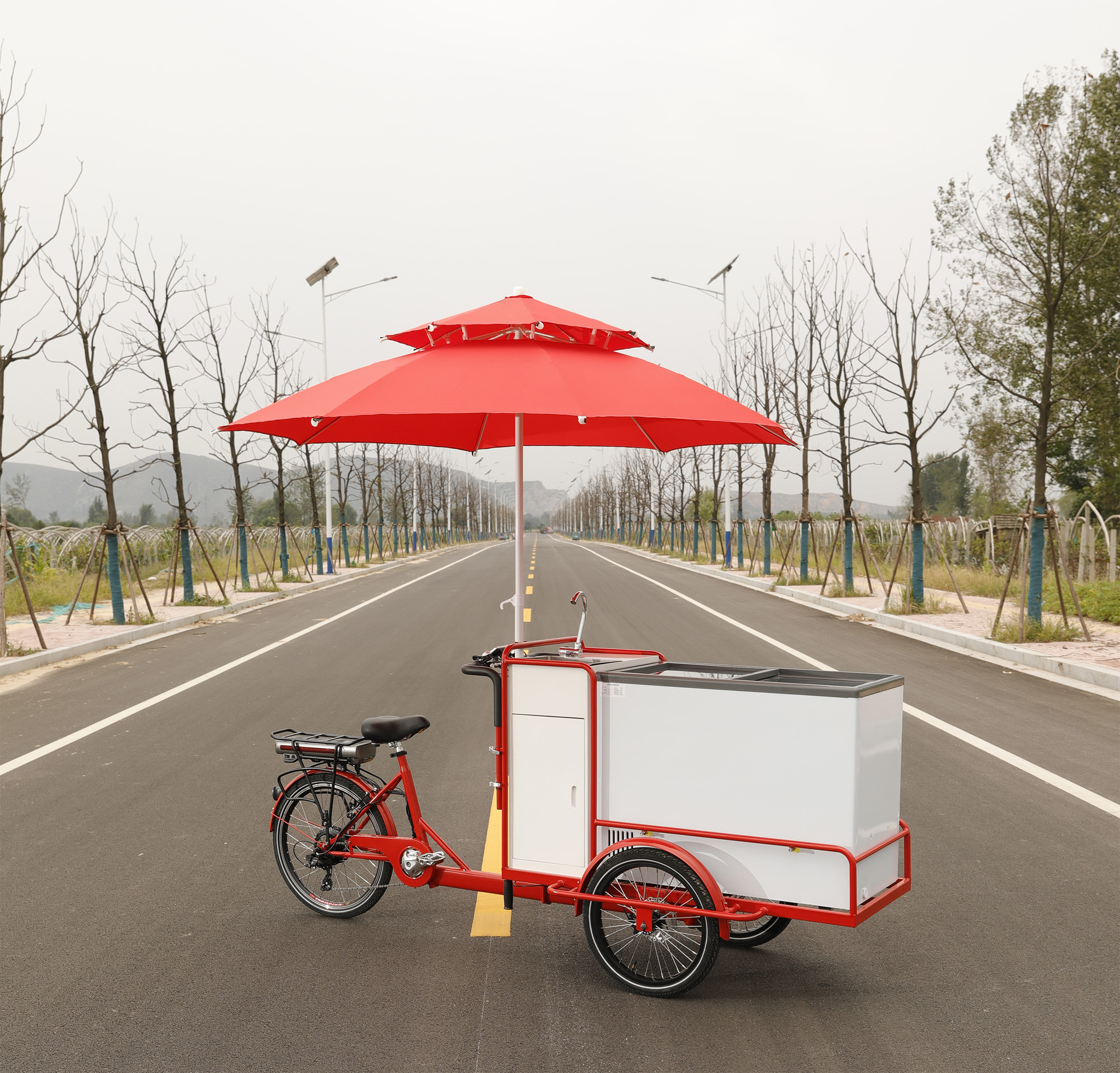 CE Certified High Quality Mobile Ice Cream Cart With Wheels Fast Food Big Freezer Ice Cream Bike With Umbrella