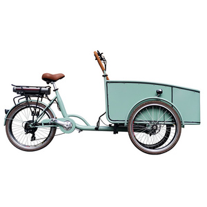 Front Load 6 Speeds Power Assist Three Wheels Electric Trike Cargo Bike Tricycles