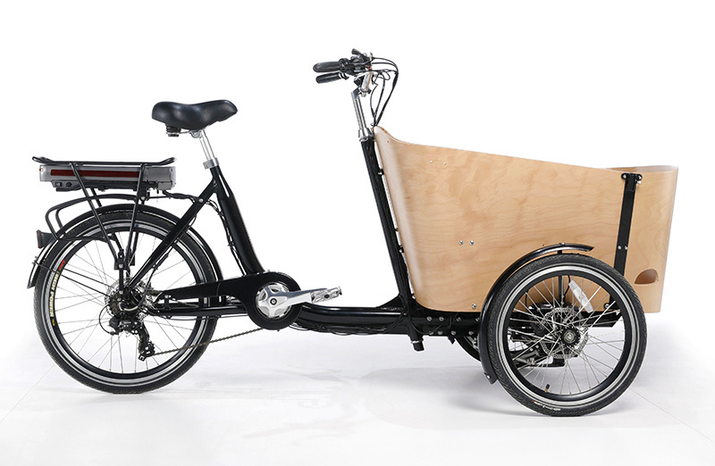 Customize New Hottest 3 Wheel 4 Seats Cargo Bike 250w Adult Tricycle For Family