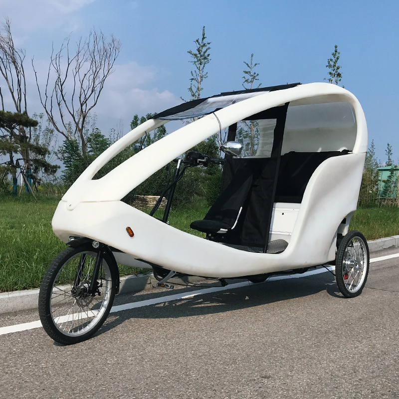 1000w Morden City Green Transportation Three Wheeler Electric Tourist Cars Vehicle Bicitaxi Auto Rickshaw