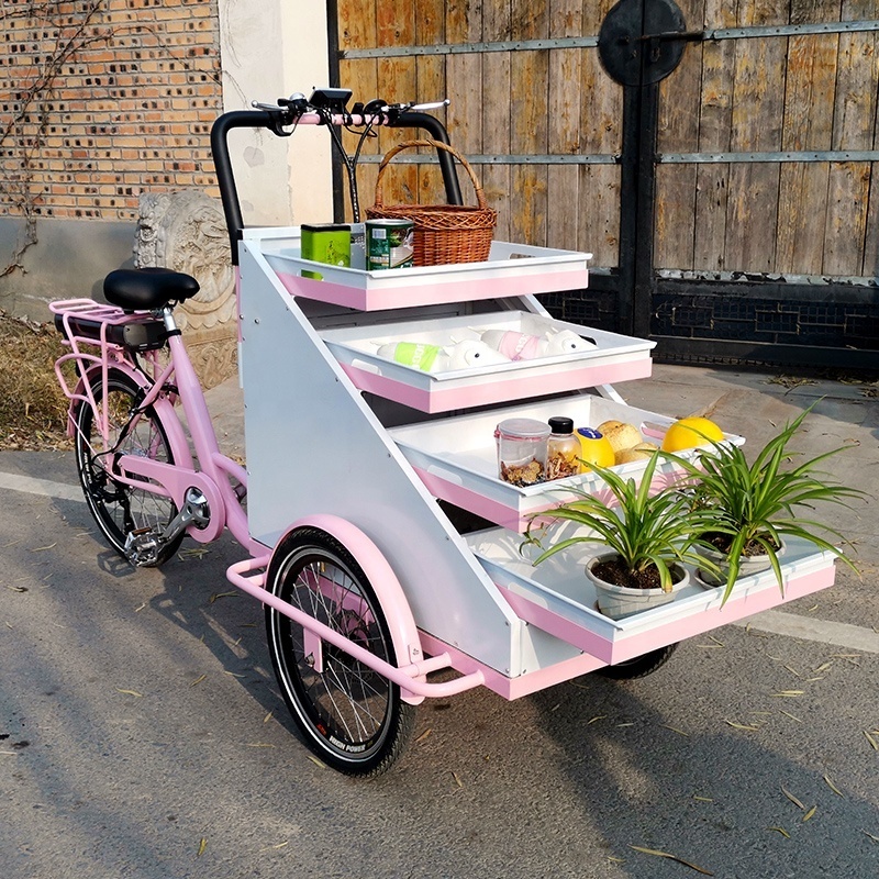 New Style 250w Motor 3 Wheels Vending Trike Factory Snacks Food Trailer