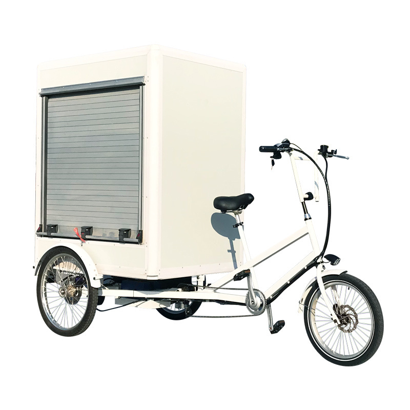 Customized 3 Wheel Electric Trike Van Cargo Tricycle With Cabin For Delivery