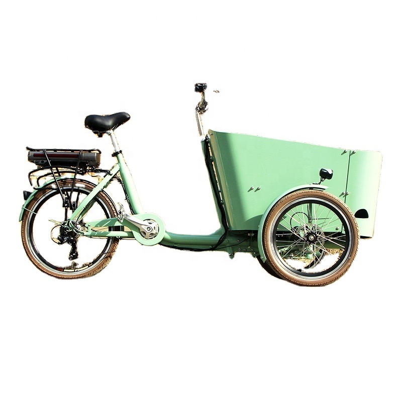 Family trike folded electric tricycle cargo bike used bicycle for sale in Dutch