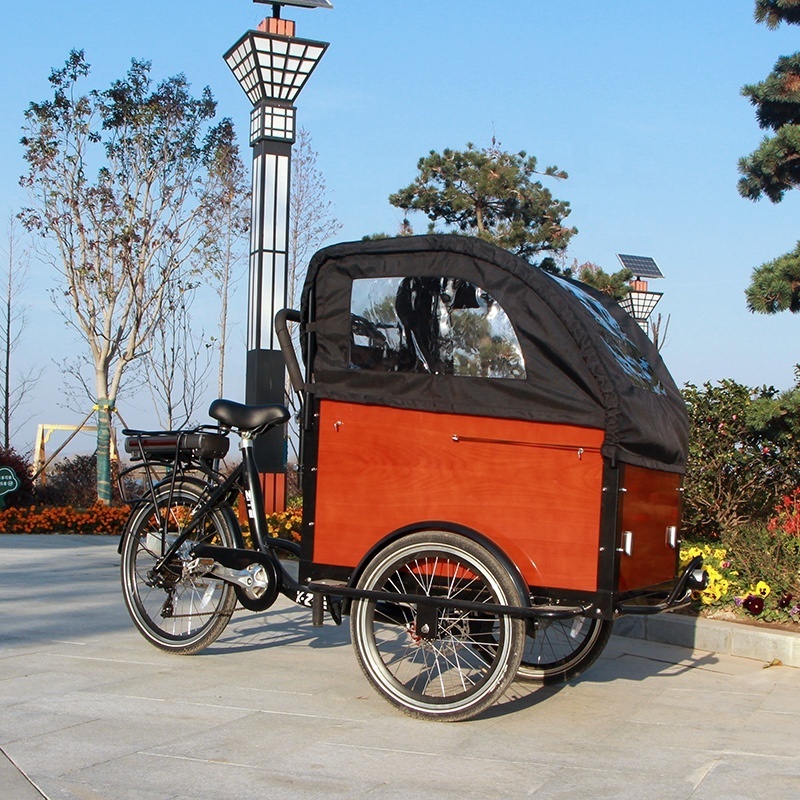 From original manufacture 3 wheel electric bike cargo trailer bicycle for sale