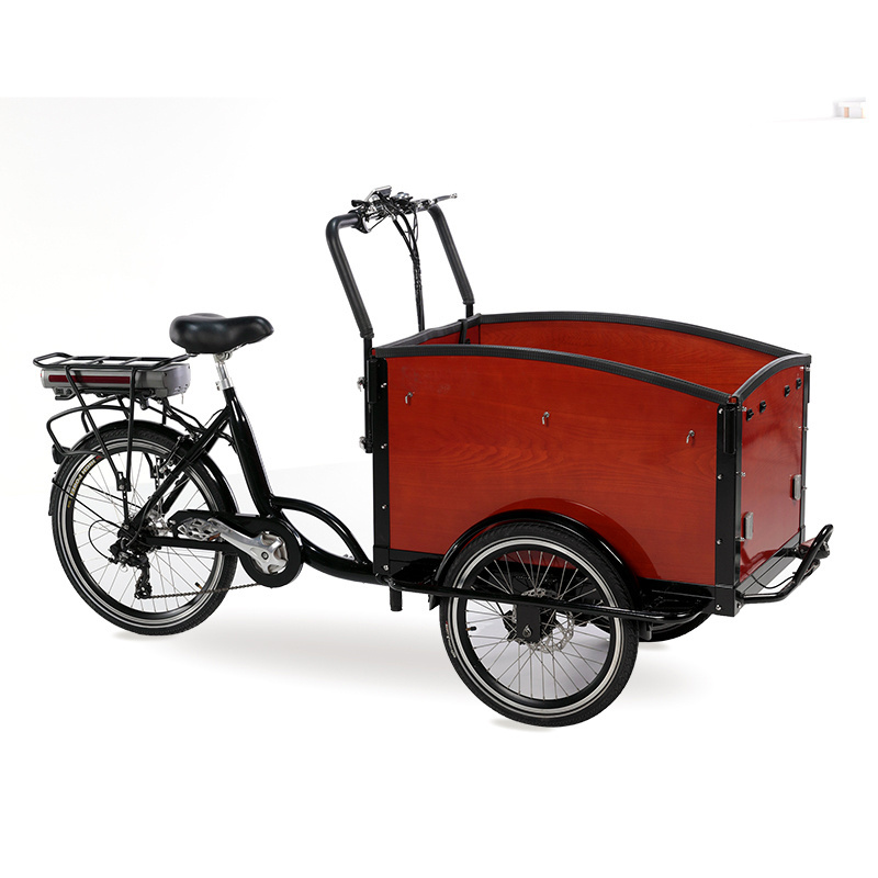 electric tricycle three wheels reverse trike adult electric bike on hot sale