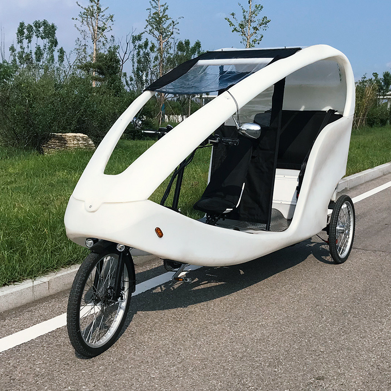 1000w Morden City Green Transportation Three Wheeler Electric Tourist Cars Vehicle Bicitaxi Auto Rickshaw