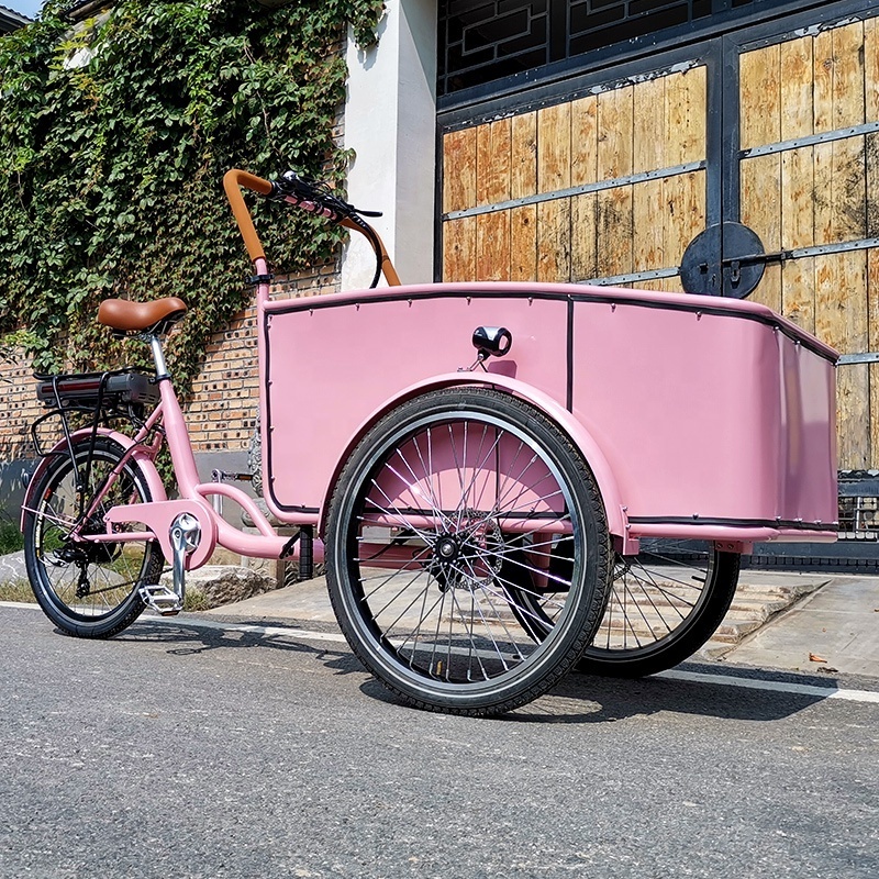 Pink Electric Truck Trailer Mobile Aluminum Cargo Bike Adult Tricycle 3 Wheels Bicycle Food Cart for Sale Kids Mobility Scooter