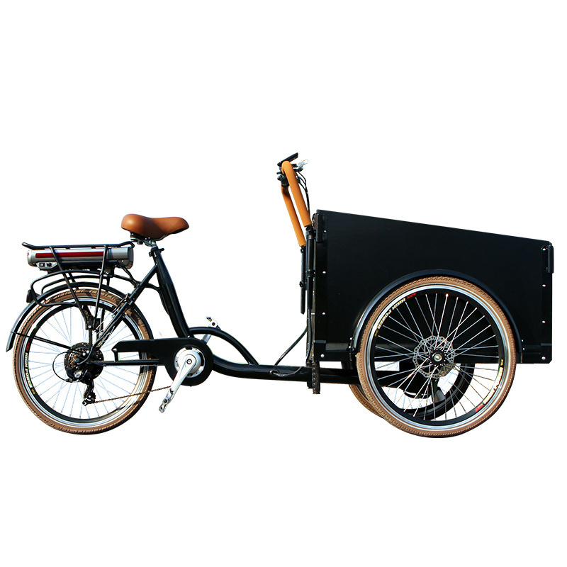 high quality CE approval three wheeler trike electric tricycle for adults bicycle for sale