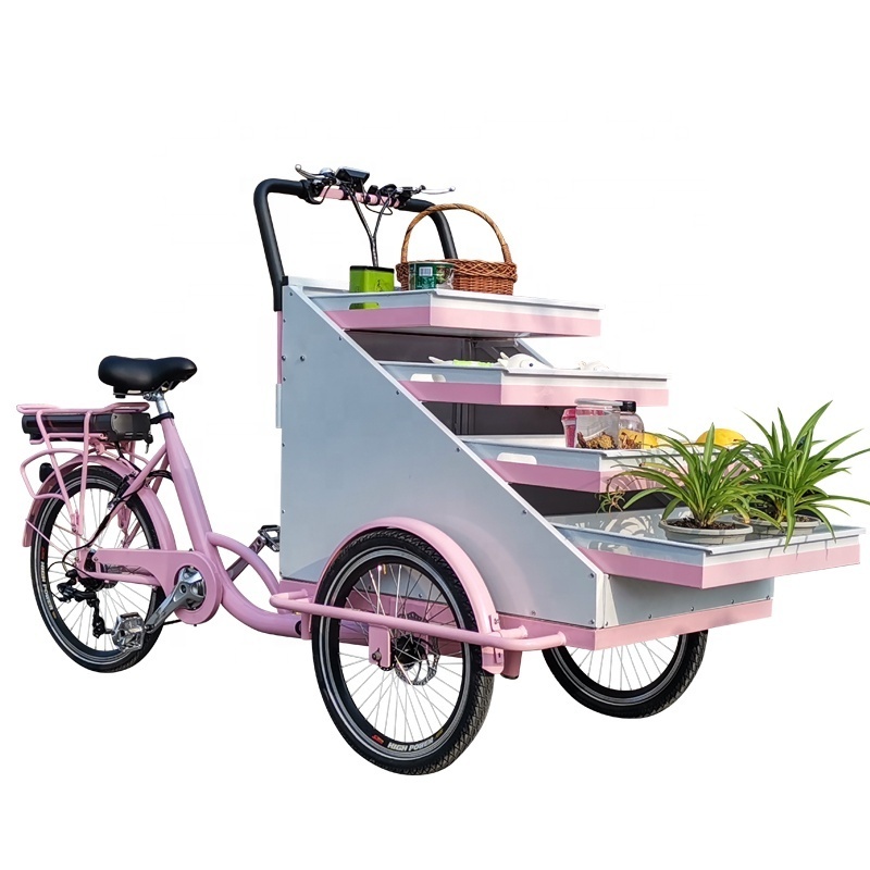 New Style 250w Motor 3 Wheels Vending Trike Factory Snacks Food Trailer