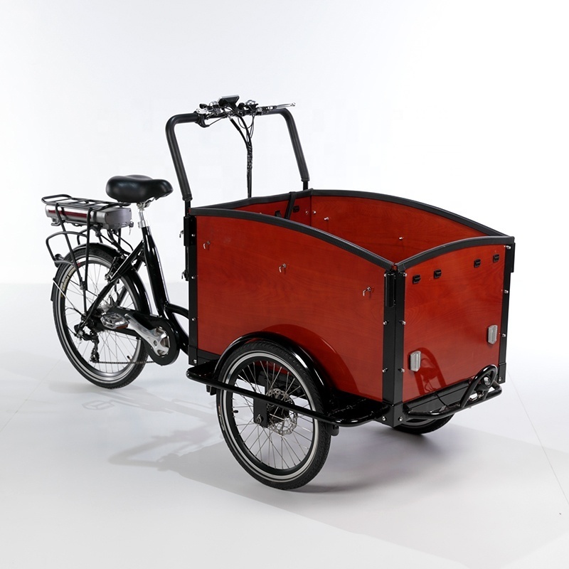 Hot Sale three wheel cargo tricycle for take kids / electric tricycle for take children