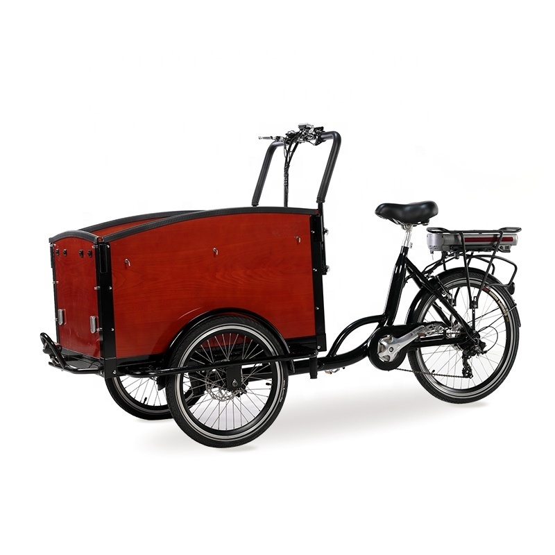 Hot Sale three wheel cargo tricycle for take kids / electric tricycle for take children