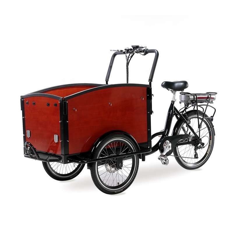 Hot Sale three wheel cargo tricycle for take kids / electric tricycle for take children