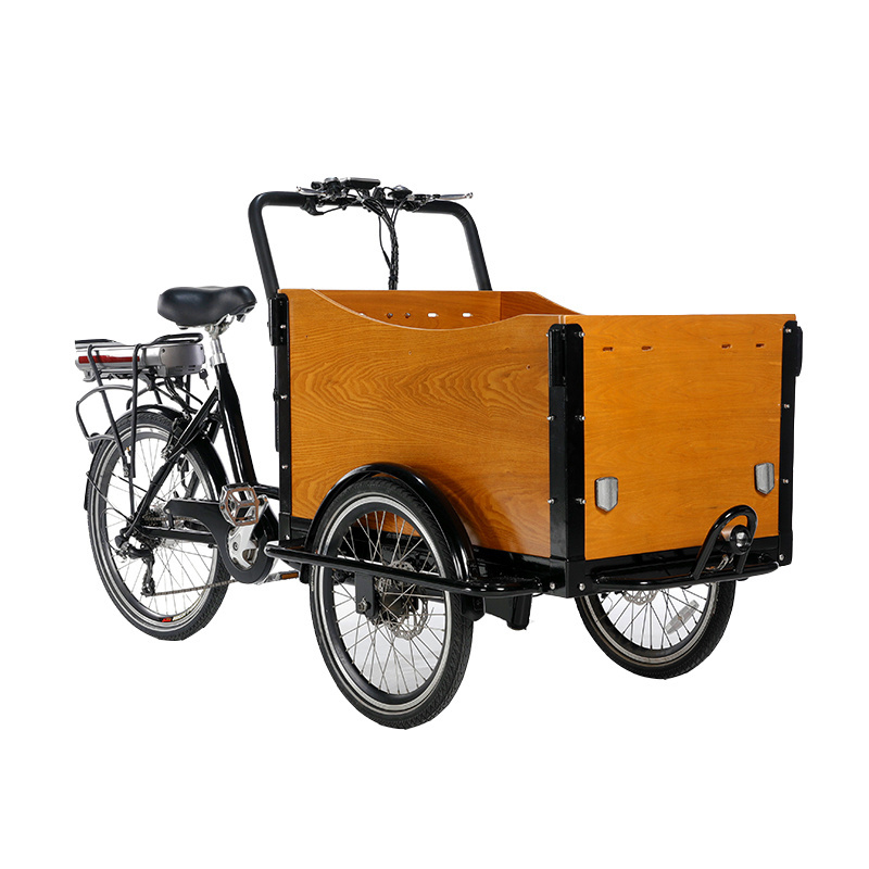 bajaj tricycle 3 Wheels cargo bike front load electric tricycles wooden case has bending radians ebike cargo tricycles