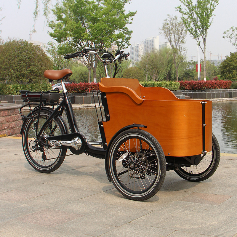 Pedal Electric Dutch cargo bike three wheel Passenger Tricycle Cargo Trike With Seats Cargo 3 Wheel Bike