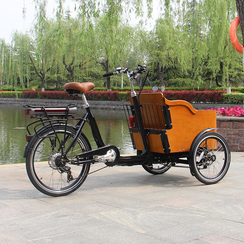 Pedal Electric Dutch cargo bike three wheel Passenger Tricycle Cargo Trike With Seats Cargo 3 Wheel Bike