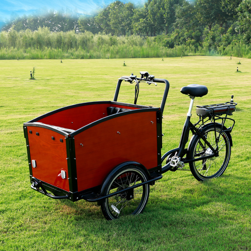 Dutch Electric Adult Tricycle 3 Wheels Cargo Bike carbon steel Bicycle Frame for Sale European Standard