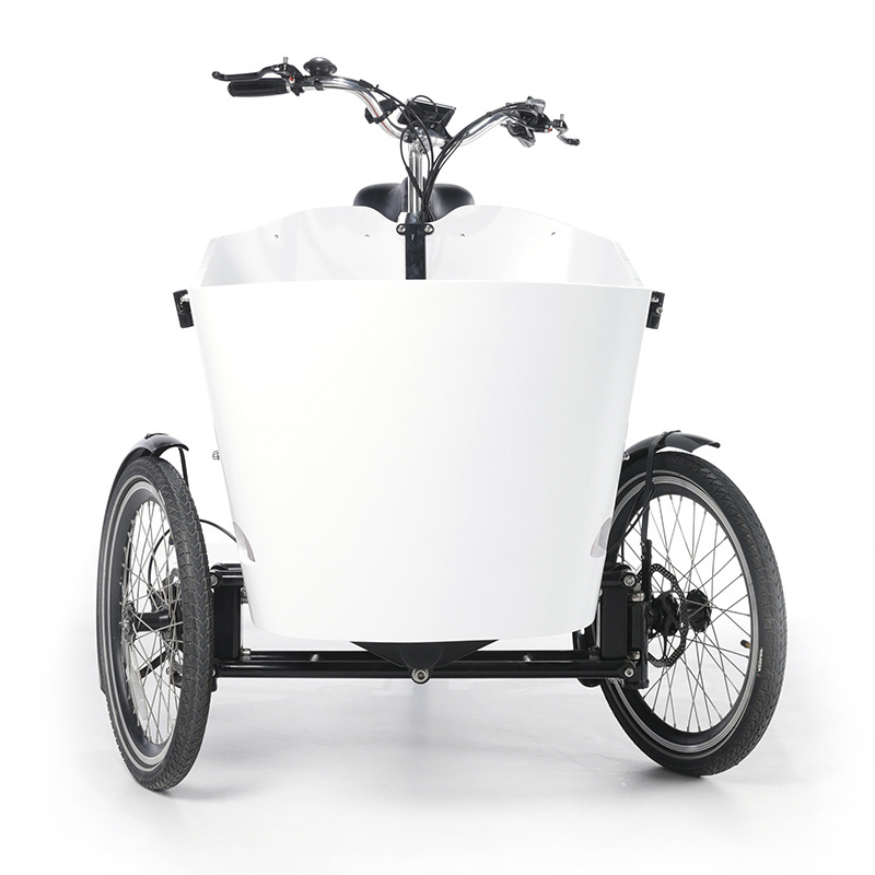 Electric Food Truck Trailer Mobile Electric Cargo Bike Adult Tricycle 3 Wheels Bicycle Food Cart for Sale Kids Mobility Scooter