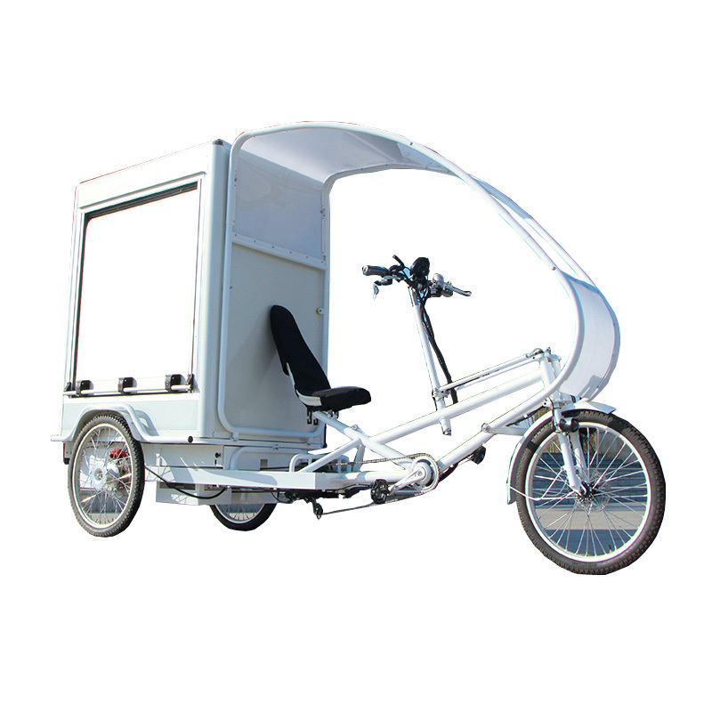 electric cargo bike for delivery good sale in China delivery bike 3 wheel electric cargo tricycle for heavy duty