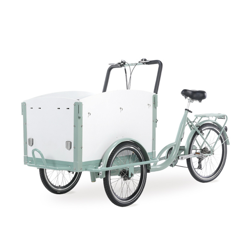 electric tricycle three wheels reverse trike adult electric bike on hot sale