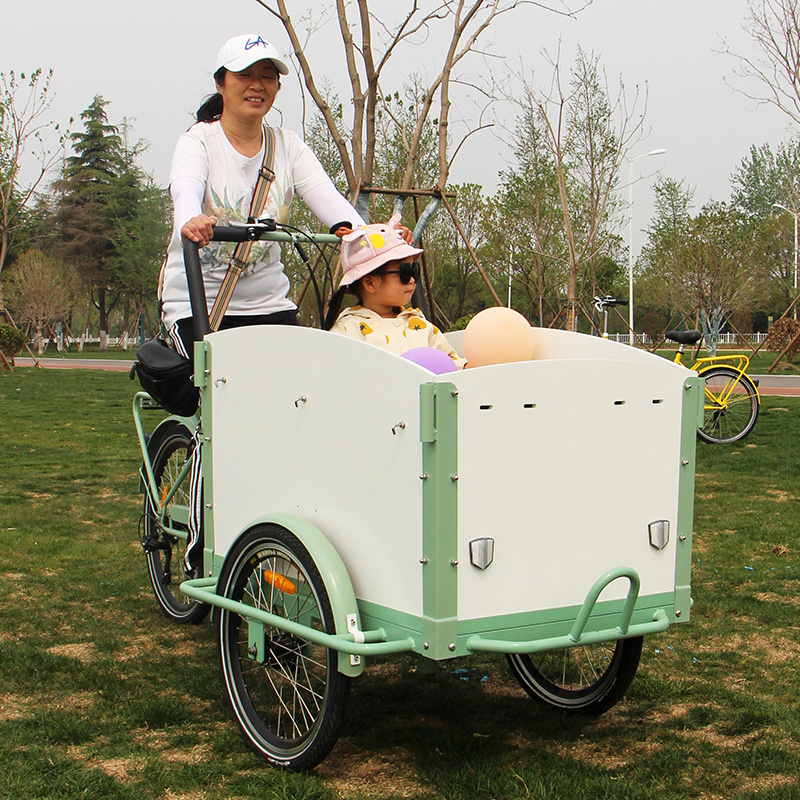 Special design for kids lowrider mini cargo bike from China factory