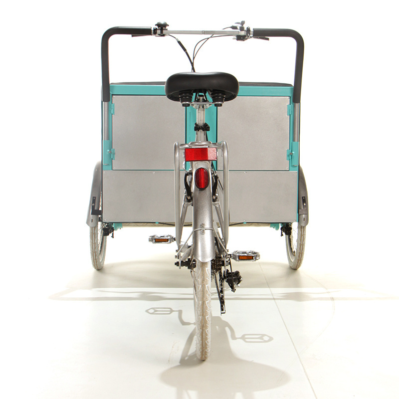 OEM Customized Cargo Trikes With Rickshaw for Advertising Decorative Electric Adult Tricycle For Two Passengers