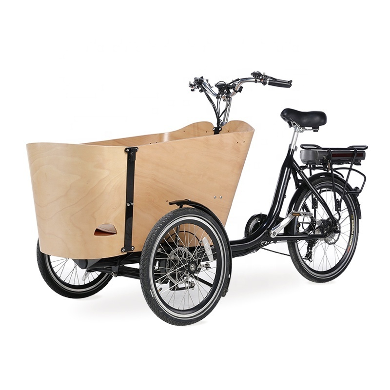 Customize New Hottest 3 Wheel 4 Seats Cargo Bike 250w Adult Tricycle For Family