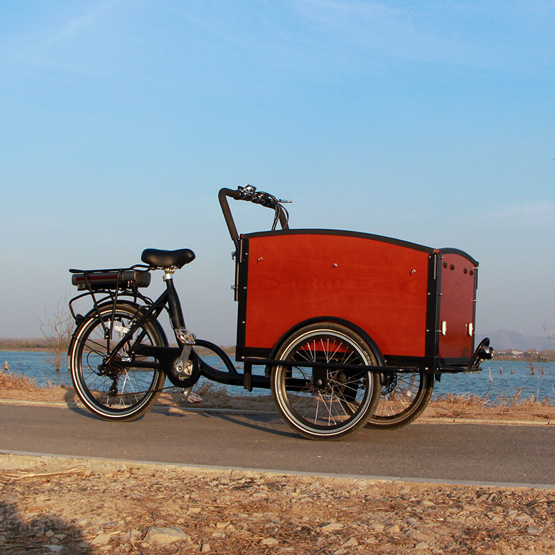 Used food trucks 3 wheel electric bike e trike