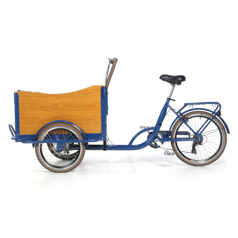 Electric bicycle Dutch bakfiets family children electric recumbent trike sale