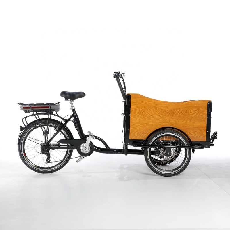 bajaj tricycle 3 Wheels cargo bike front load electric tricycles wooden case has bending radians ebike cargo tricycles