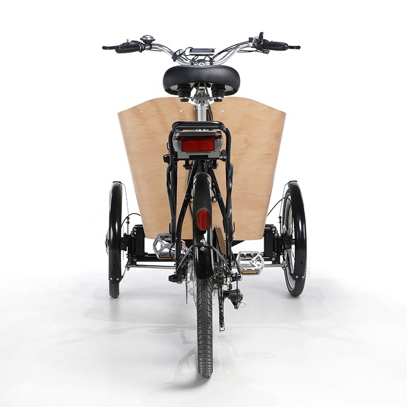 Customize New Hottest 3 Wheel 4 Seats Cargo Bike 250w Adult Tricycle For Family