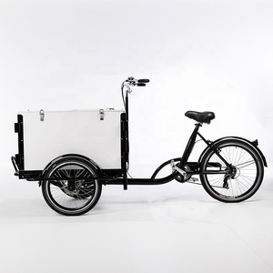 3 wheels electric cargo motor tricycle cargo Bicycle bike trike bicicleta de carga cargo bike