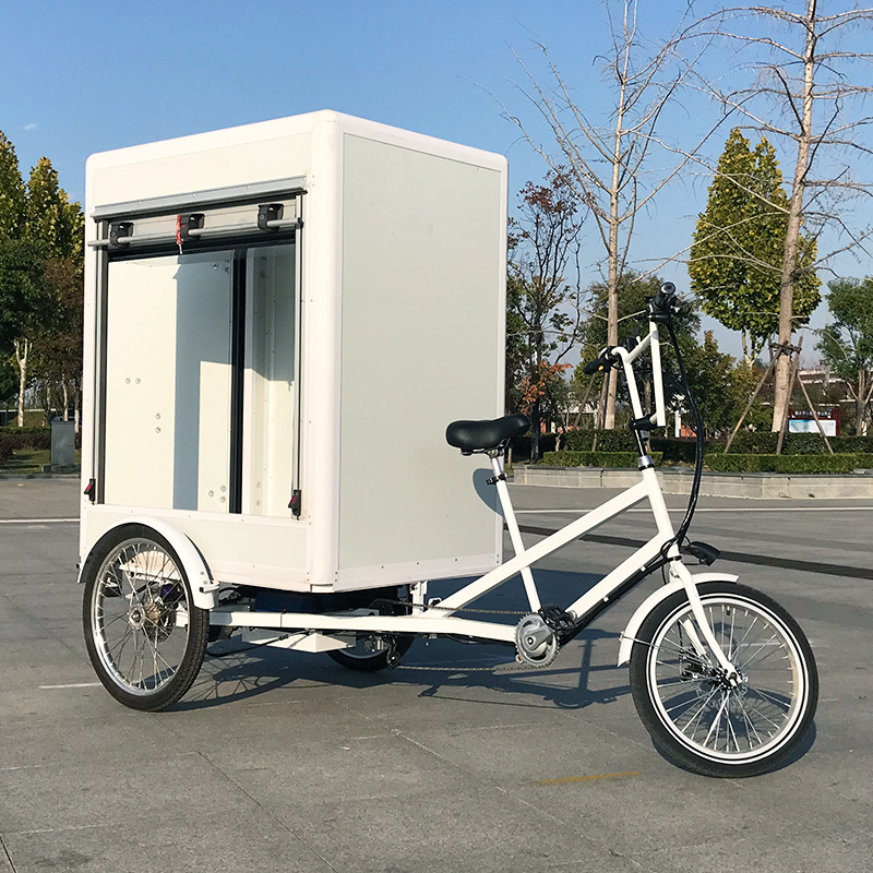 Customized 3 Wheel Electric Trike Van Cargo Tricycle With Cabin For Delivery