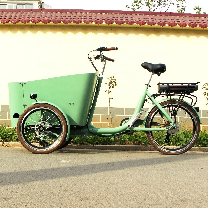 Family trike folded electric tricycle cargo bike used bicycle for sale in Dutch