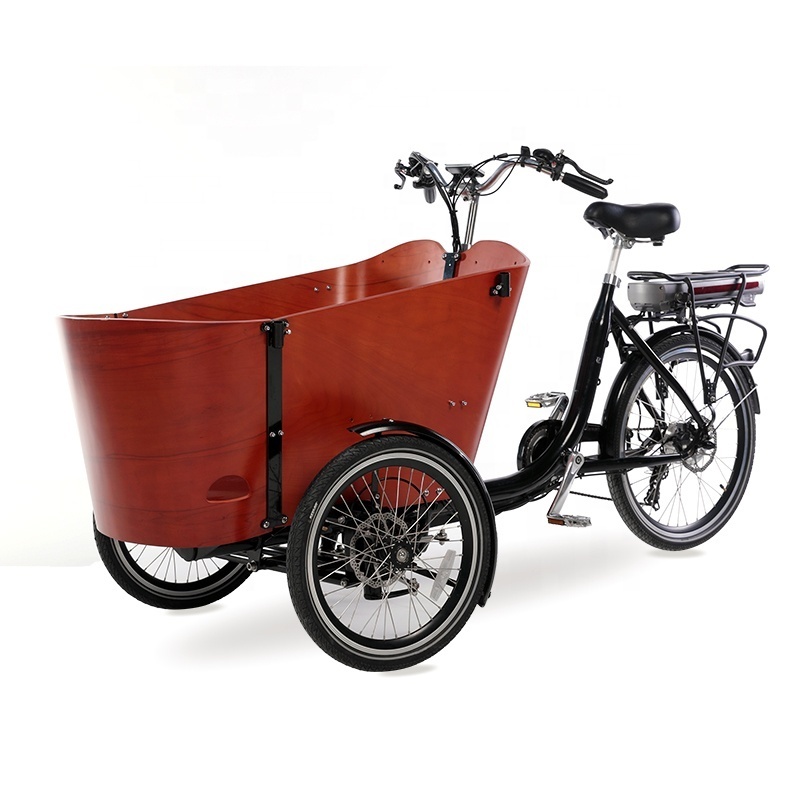 3 wheel electric cargo bike for adults/bakfiets for sale in Euro market/electric tricycle pedal assisted cargo bike frame