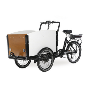 250W motor Electric Cargo Bike Dog Care Cargo Bike 3 Wheel Family Adult Bicycle Tricycle with front loading box