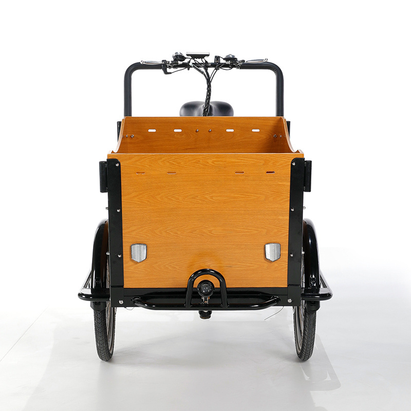 bajaj tricycle 3 Wheels cargo bike front load electric tricycles wooden case has bending radians ebike cargo tricycles