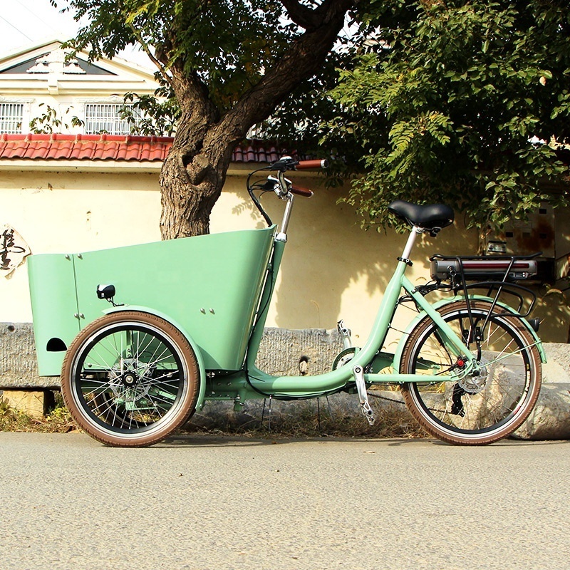 Family trike folded electric tricycle cargo bike used bicycle for sale in Dutch