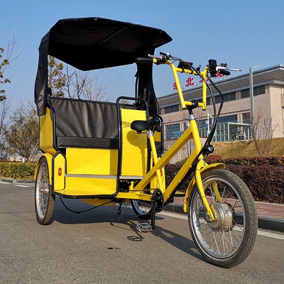 Pedicab trailer online