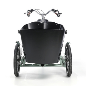 High Quality new three wheel recumbent adult electric trike with 2 seats