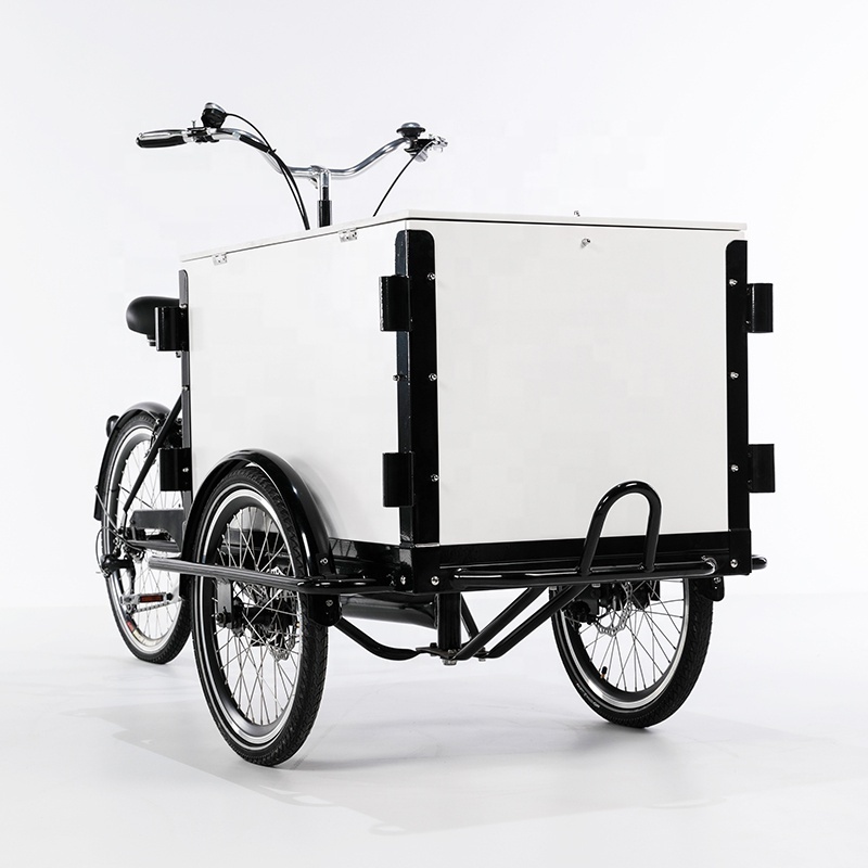 3 wheels electric cargo motor tricycle cargo Bicycle bike trike bicicleta de carga cargo bike