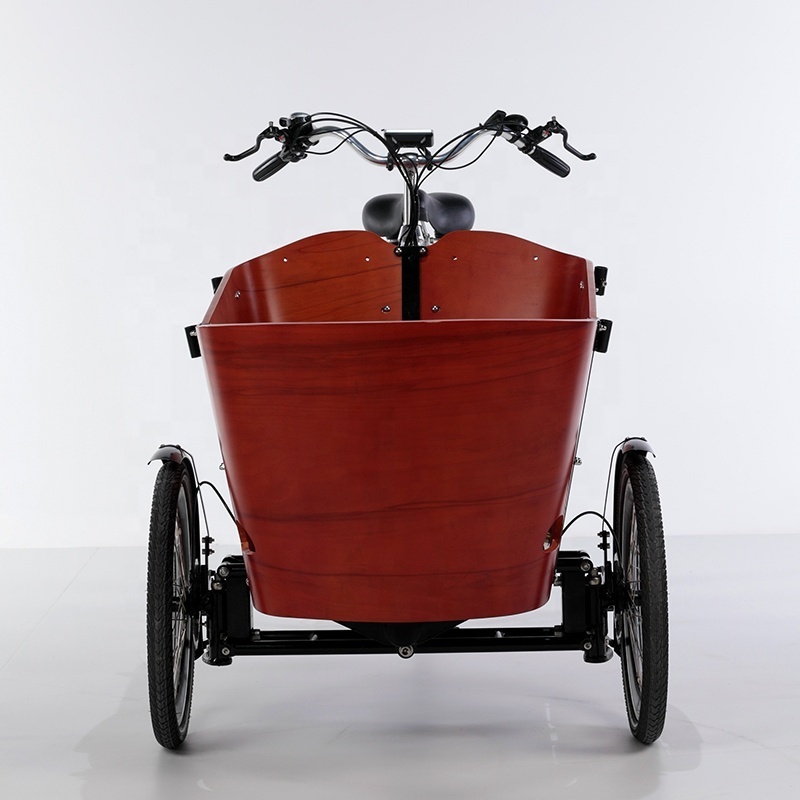 3 wheel electric cargo bike for adults/bakfiets for sale in Euro market/electric tricycle pedal assisted cargo bike frame