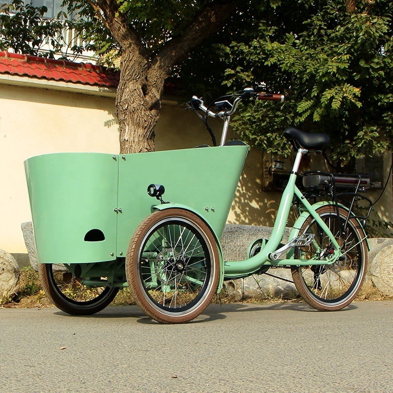 Family trike folded electric tricycle cargo bike used bicycle for sale in Dutch