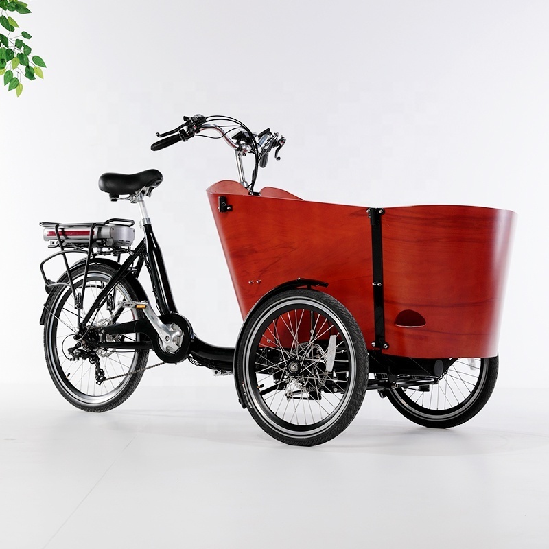 3 wheel electric cargo bike for adults/bakfiets for sale in Euro market/electric tricycle pedal assisted cargo bike frame