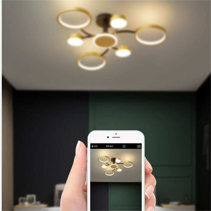 DOPWII Nordic ceiling lamp bedroom living room study fashion creative circle ceiling lamp led home lighting