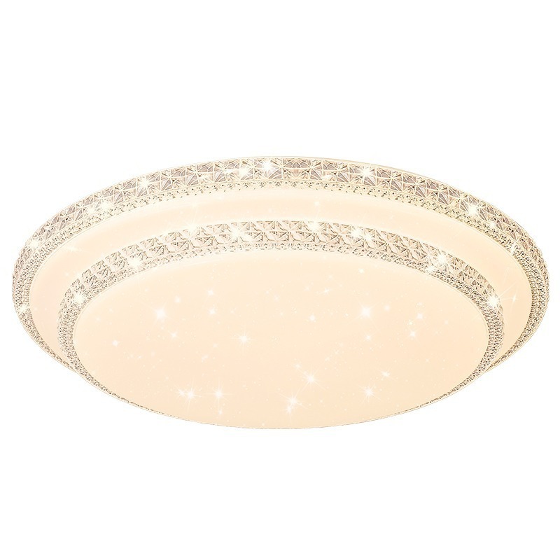 DOPWII New style atmospheric acrylic round bedroom 24w remote control stepless dimming LED ceiling light for living room