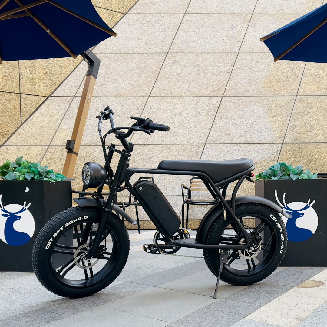 Netherlands Popular electric fat tire bike ouxi v8 fatbike 250w 750w fat tire e-bikes fat electric bike 20inches