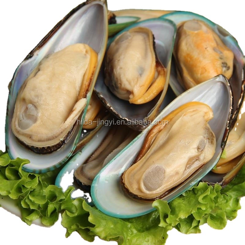 Frozen cooked whole shell mussel in juice  Frozen Mussel in Shell 20~40, 40~60U/kg